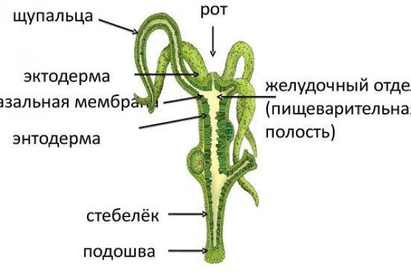 Kraken 4 ссылка