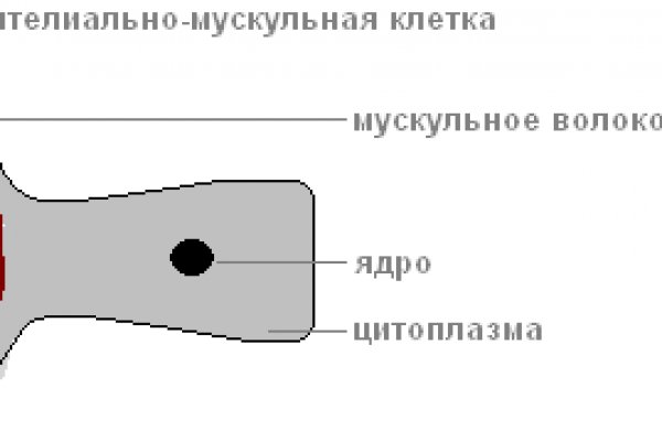 Кракен сайт магазин kraken clear com